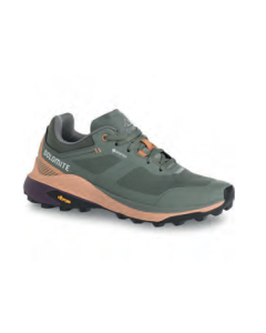 Dolomite Women's Shoe Nibelia GTX Silver Green/Sand Pink